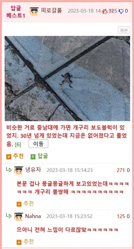 부산대 이스터에그 발견 .jpg