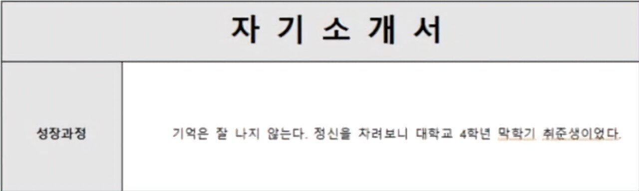 소설 도입부.jpg 너무 현실적인 자소설 도입부.jpg