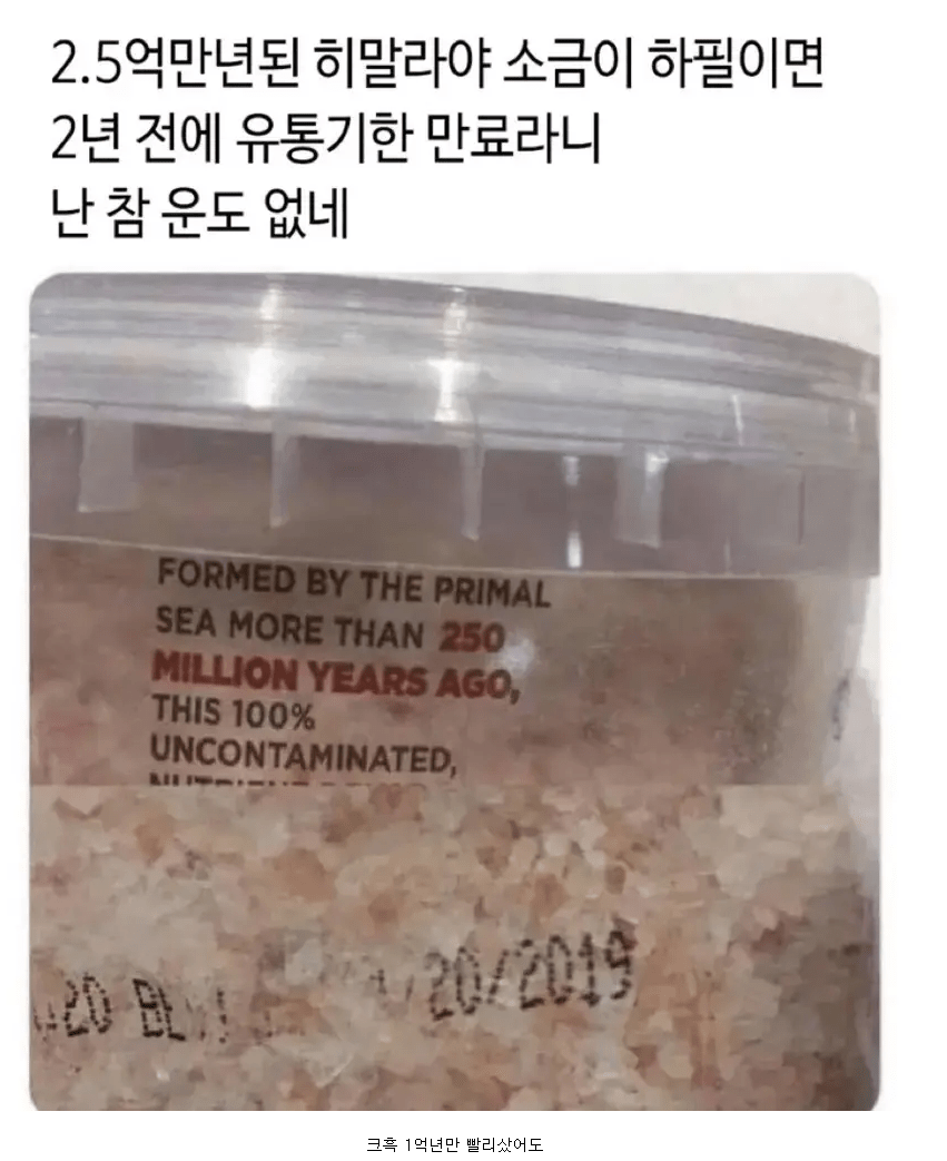 image.png 2억5천만년 된 히말라야 소금의 유통기한.jpg