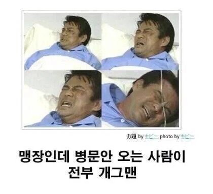 1000003636.webp.ren.jpg 일본에 잘못 알려진 한국 밈