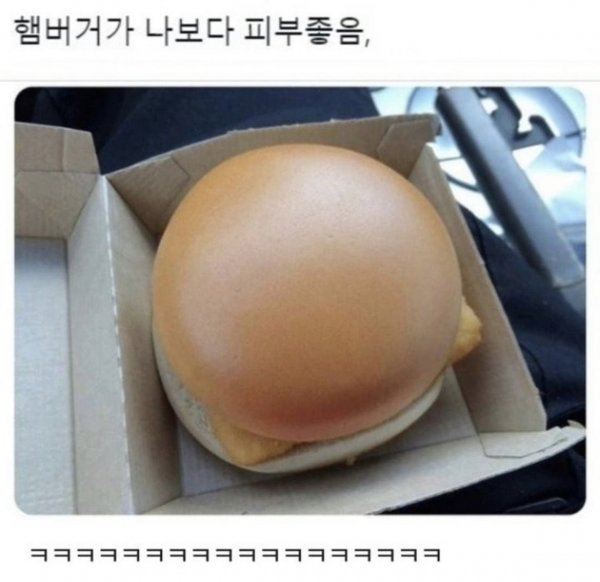 햄버거가 나보다 피부 좋음.jpg