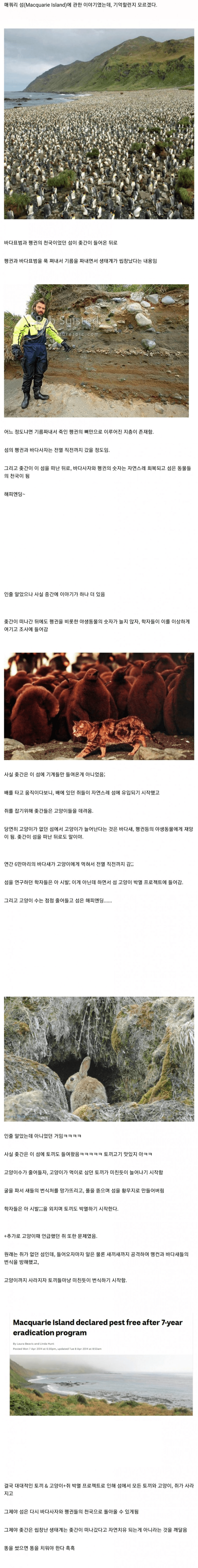 image.png 생태계를 곱창 냈으면 복구하십쇼 인간 .jpg