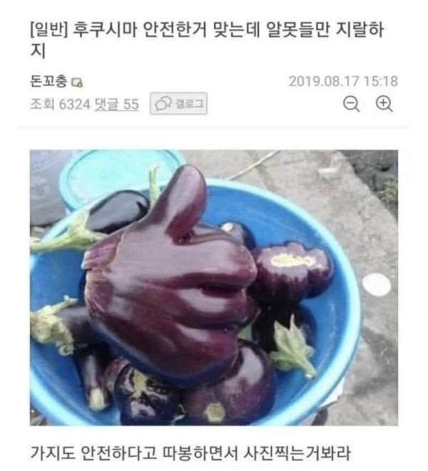 후쿠시마 안전한거 맞는데 알못들만 ㅈㄹ하지