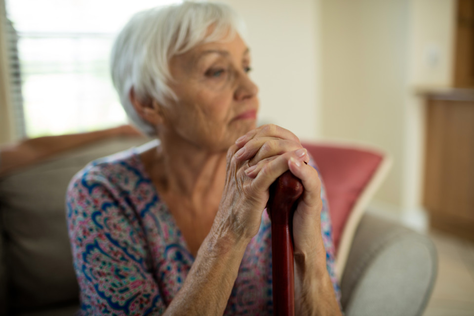알츠하이머병에 대해 우리는 얼마나 알고 있나?, 시보드 블로그