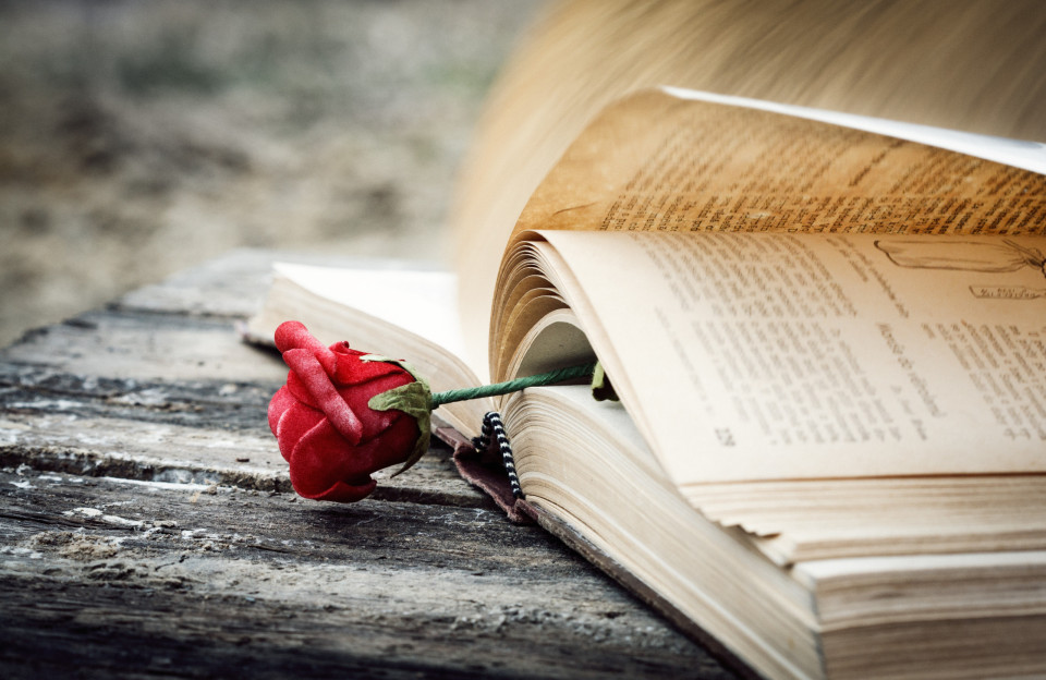 로맨스 소설은 어떻게 독자들을 사로잡을까?, 시보드 블로그