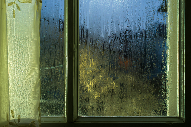 비 오는 날 창문 열어야 하는 이유: 딠다니는 세균 증가 방지, 시보드 블로그