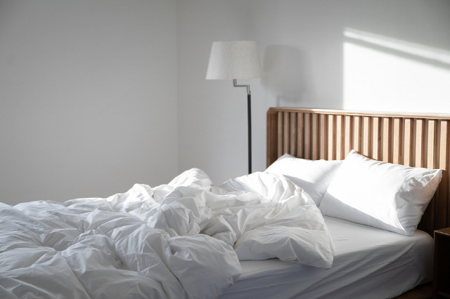당신의 침대가 될 수 있는 &#8216;세균의 온상&#8217;에 대해 알아보자, 시보드 블로그