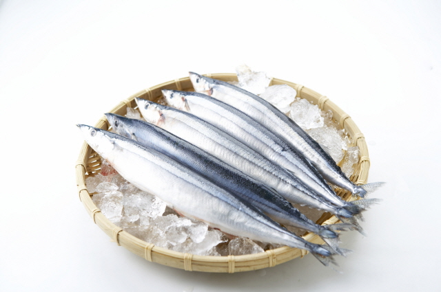 고등어, 가자미, 삼치 등 수은 함량이 낮은 생선과 가장 많은 수은을 가진 생선은?, 시보드 블로그