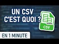 Un fichier CSV c'est quoi ?