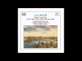 JS Bach - Concerto for Oboe in D Minor (BWV 1059), 1