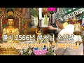 불기 2566년 부처님 오신날.. 부처님의 자비가 가득하길｜ TJB 대전·세종·충남뉴스