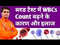 High Wbcs Count In Blood | ब्लड में WBCs बढ़ने के कारण और इलाज | High Wbc Count Treatment In Hindi