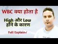 WBC Explain in hindi | WBC test in hindiWhite blood cells count | Total Leukocytes count