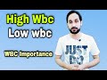WBC count and its importance | High WBC and Low WBC Causes