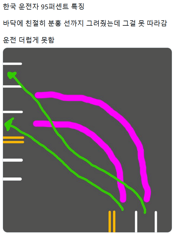 1.png 한국 운전자의 95% 특징.jpg
