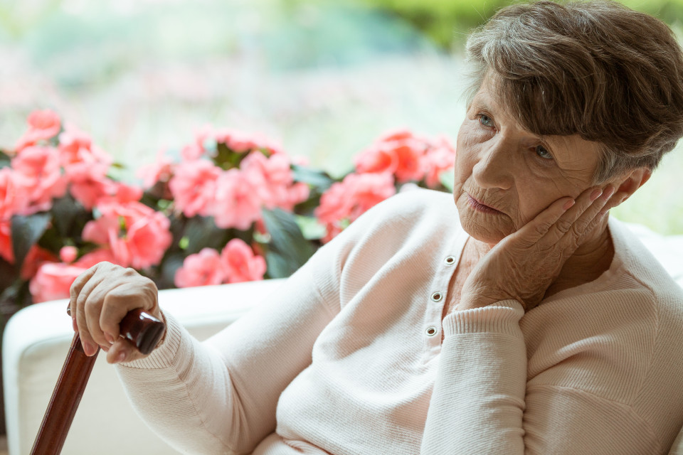 알츠하이머병에 대해 우리는 얼마나 알고 있나?, 시보드 블로그