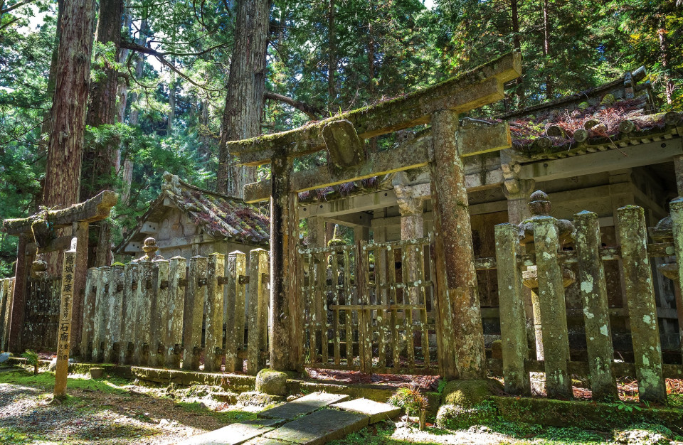 오싹하고 기이한 묘지로 소문난 장소들, 시보드 블로그