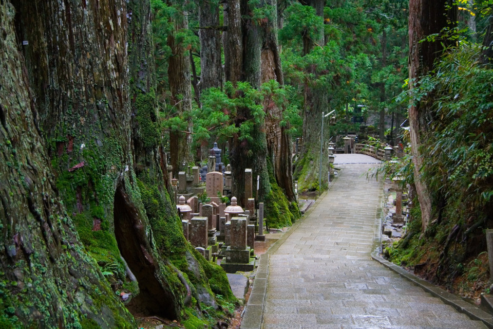 오싹하고 기이한 묘지로 소문난 장소들, 시보드 블로그