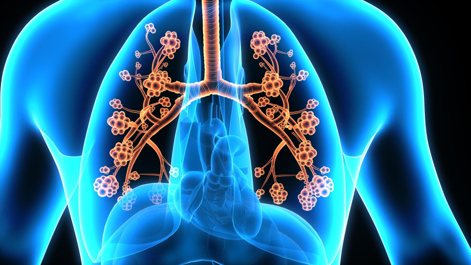 호흡기 질환에 대해 알아야 할 모든 것!, 시보드 블로그