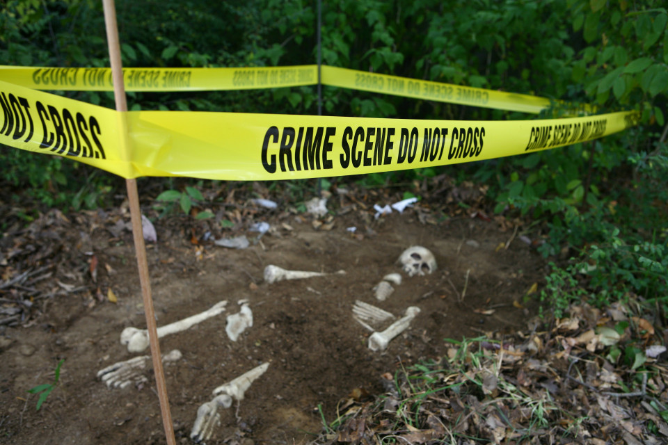 연쇄살인범을 밝혀낸 법의학에 관한 흥미로운 사실들!, 시보드 블로그