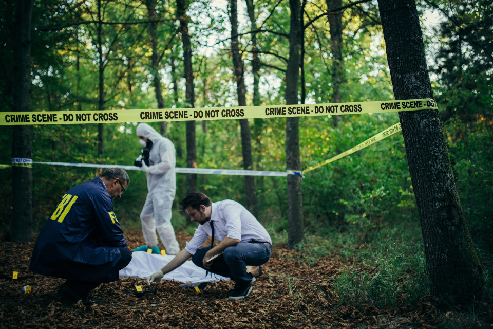 연쇄살인범을 밝혀낸 법의학에 관한 흥미로운 사실들!, 시보드 블로그