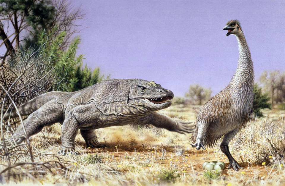 우리는 공룡에 대해 얼마나 많이 알고 있을까?, 시보드 블로그