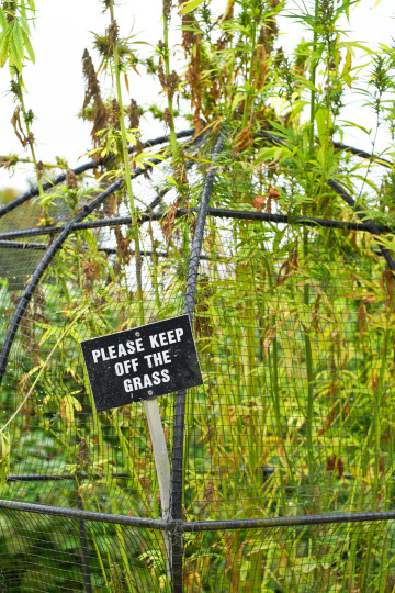 세계에서 가장 치명적인 위험한 정원들, 시보드 블로그