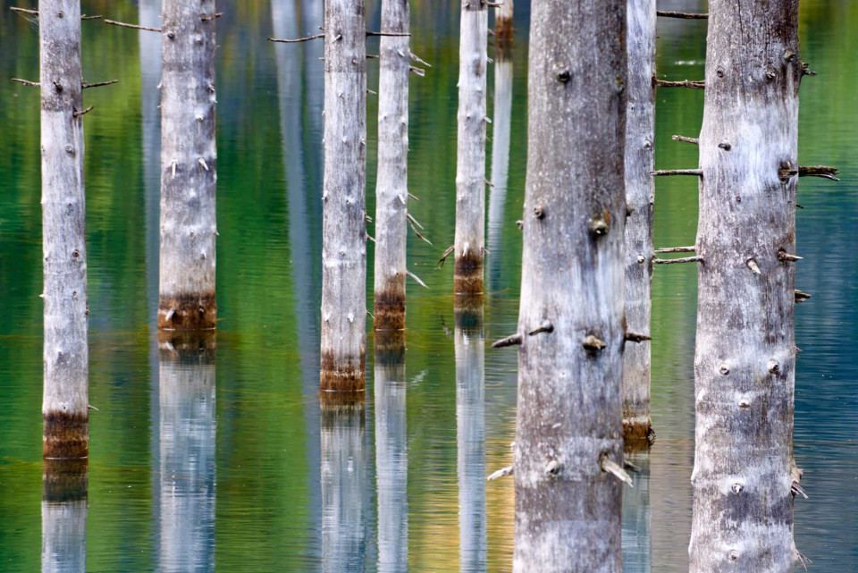 가라앉은 숲과 카인디 호수의 비밀, 시보드 블로그