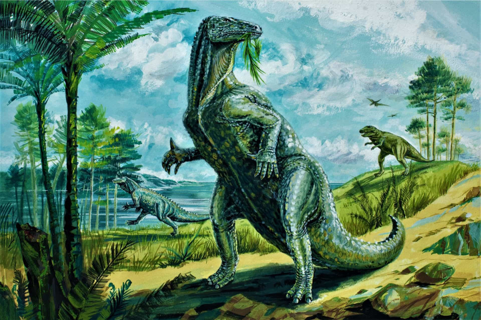 우리는 공룡에 대해 얼마나 많이 알고 있을까?, 시보드 블로그