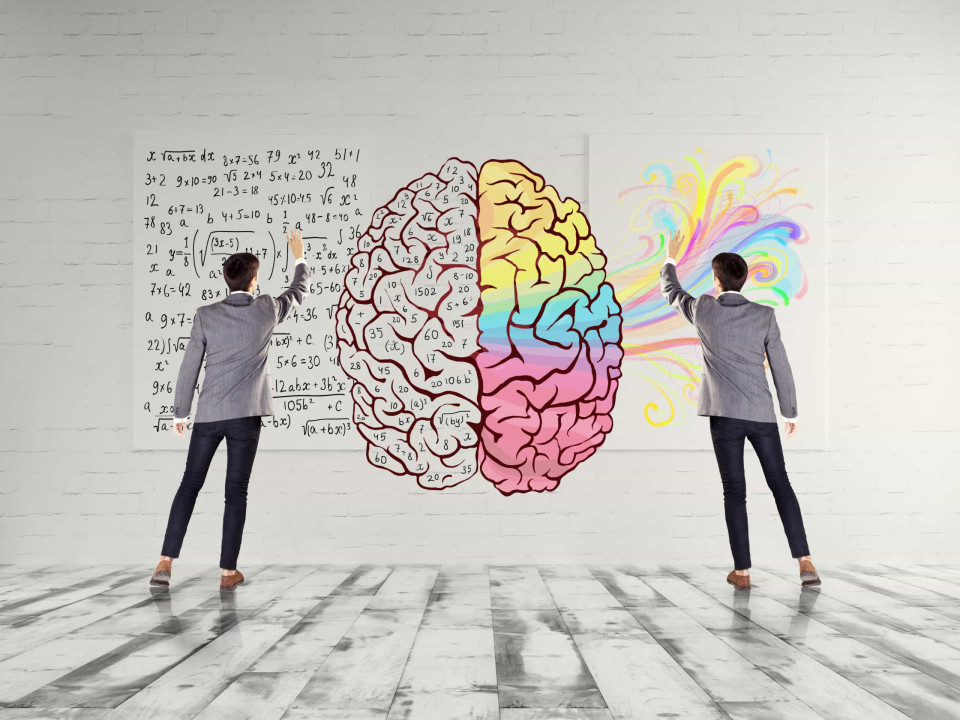 좌뇌형 vs 우뇌형, 당신의 뇌는 어느 쪽인가요?, 시보드 블로그