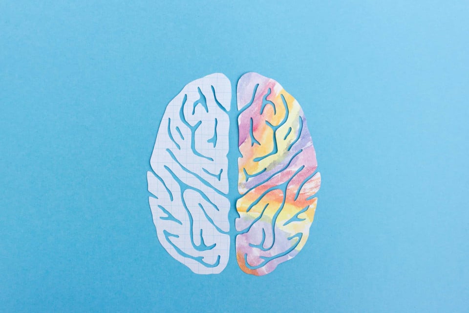 좌뇌형 vs 우뇌형, 당신의 뇌는 어느 쪽인가요?, 시보드 블로그