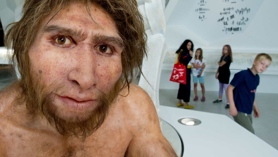 멸종된 인류: 그들은 우리와 얼마나 달랐을까?, 시보드 블로그