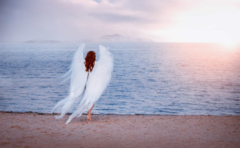 당신이 몰랐던 천사에 관한 놀라운 사실들!, 시보드 블로그
