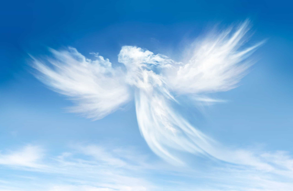 당신이 몰랐던 천사에 관한 놀라운 사실들!, 시보드 블로그