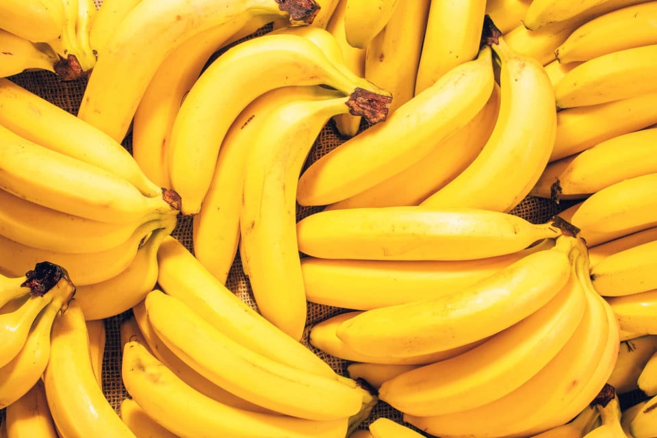 바나나에 방사선이? 일상 속 방사선 노출에 대해 알아보자!, 시보드 블로그