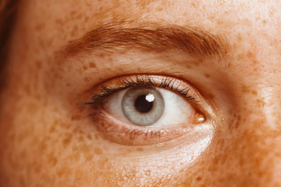 성인이 되어 눈 색깔이 변하는 이유는 무엇일까?, 시보드 블로그