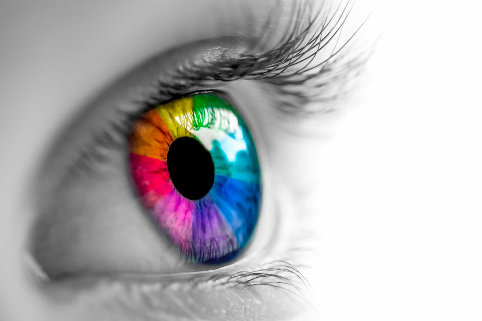 성인이 되어 눈 색깔이 변하는 이유는 무엇일까?, 시보드 블로그