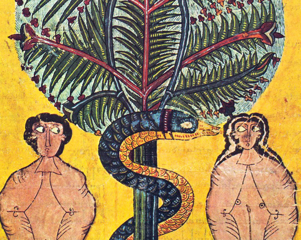인간이 재배한 최초의 식물? 무화과에 대한 재미있는 사실들!, 시보드 블로그