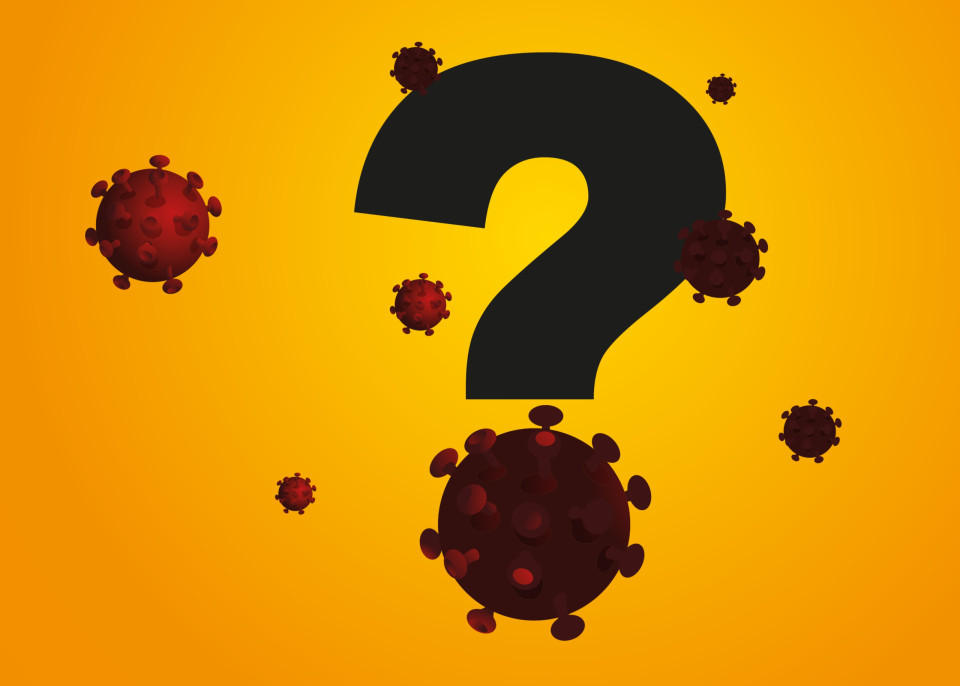 항인지질항체증후군은 정확히 무엇인가?, 시보드 블로그