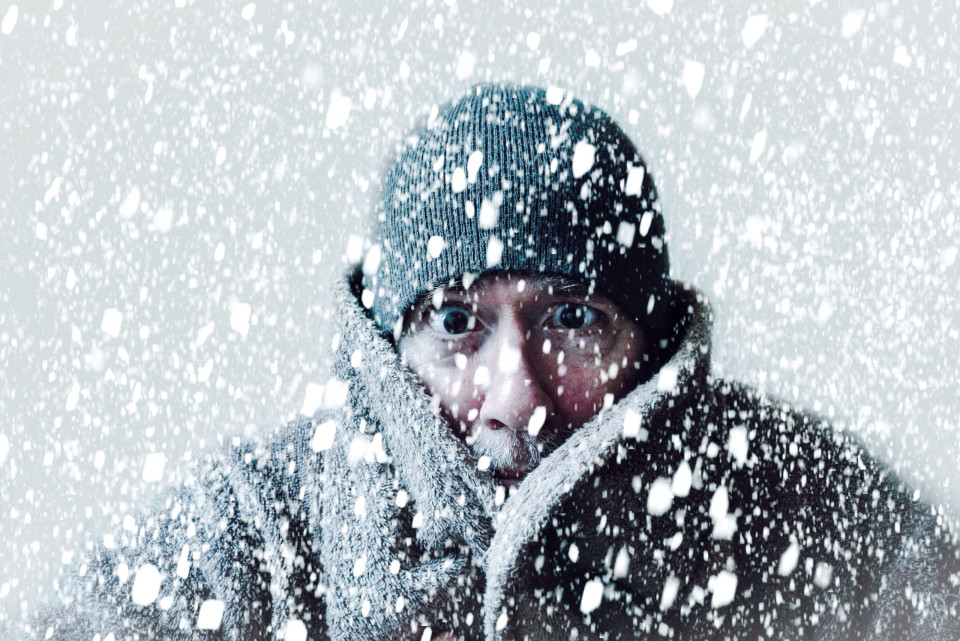 겨울에 대해 당신이 몰랐던 흥미로운 사실들!, 시보드 블로그