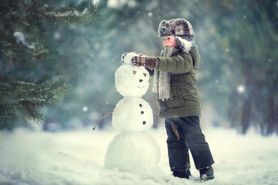 겨울에 대해 당신이 몰랐던 흥미로운 사실들!, 시보드 블로그