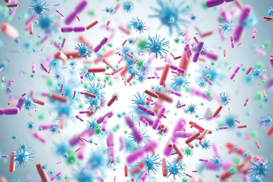 항생제는 정확히 무엇이며 어떻게 작용할까?, 시보드 블로그
