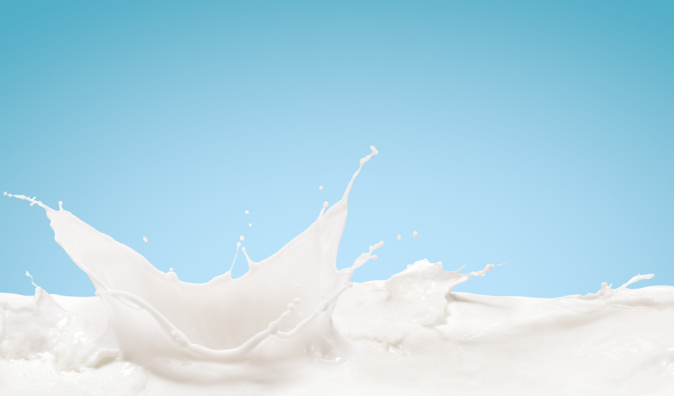 바퀴벌레 우유가 차세대 슈퍼푸드가 될 수 있을까?, 시보드 블로그
