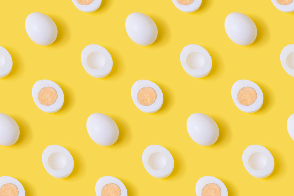 계란을 매일 먹으면 몸에 무슨 일이 일어날까?, 시보드 블로그