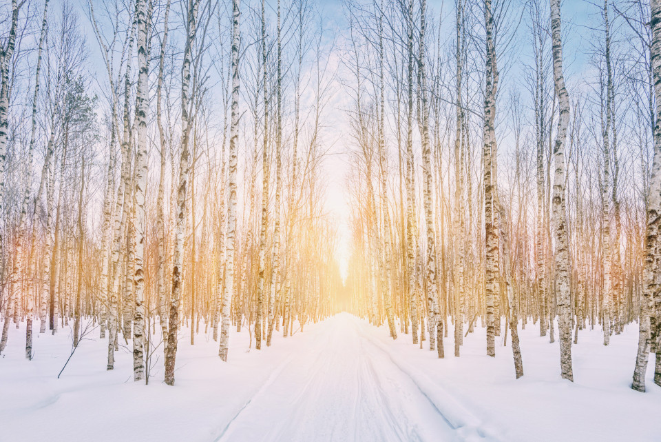 추운 날씨의 놀라운 이점들!, 시보드 블로그