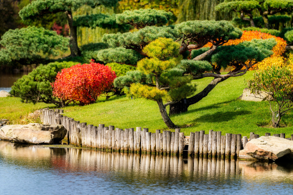 세계에서 가장 아름다운 정원을 거닐다, 시보드 블로그