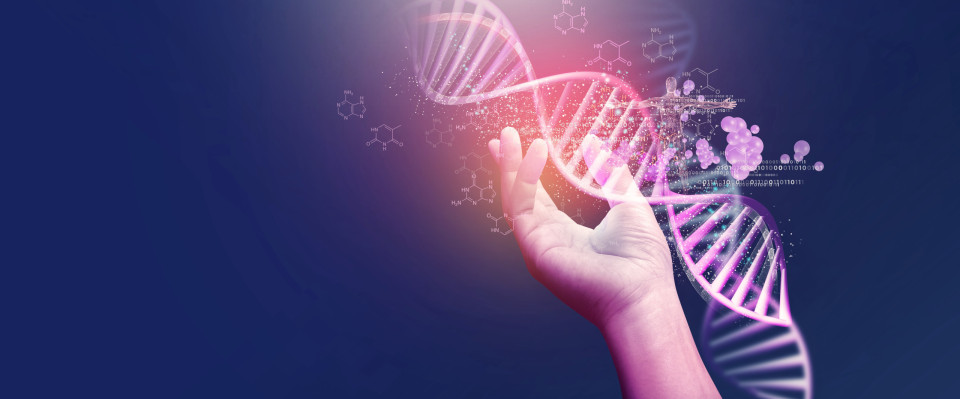 뿌리찾기 DNA 검사는 얼마나 정확할까?, 시보드 블로그