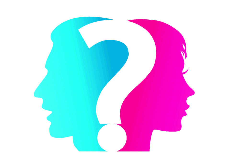 남성과 여성의 뇌, 정말로 다를까?, 시보드 블로그