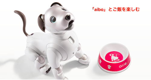 【개형 로봇】 &#8220;aibo&#8221;에 환영 기능 추가!, 시보드 블로그