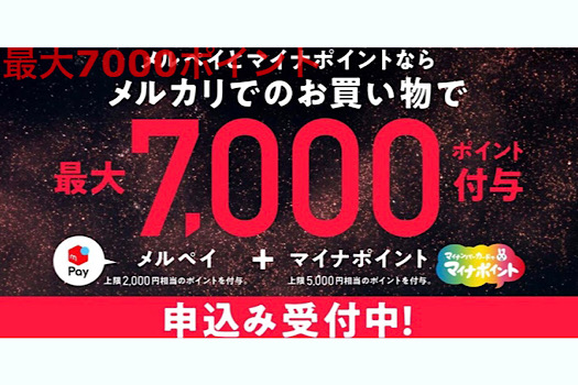 【멜페이】「마이나 포인트」1000엔 추가하여 최대 7000엔 환급 가능!, 시보드 블로그